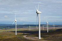 Wind turbines spread across the landscape at Berry Burn, Altyre Estate, Moray, Scotland, UK. July, 2016.