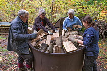 National Trust staff and volunteers loading charcoal kiln with beech wood in preparation for burning, Killiecrankie, Perthshire, Scotland, UK. October.