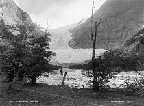 Man walking on Briksdalsbreen glacier, part of Jostedalsbreen glacier, Vestland, Norway.  Photo: Knud Knudsen 1889-93. Collection: NBB, Bergen, Norway  See 1698526 for image of same glacier taken in...