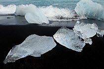 Pieces of clear ice washed up on black sands of Diamond Beach, Fjallsarlon, Iceland. July.