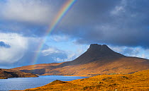 Rainbow and cloudy skies over Stac Pollaidh mountain and Loch Lurgainn, Inverpollaidh, Highlands, Scotland, UK. November, 2021.