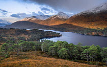 View over Loch Affric in autumn with woodland and low cloud over surrounding hills, Glen Affric, Highlands, Scotland, UK. October, 2021.