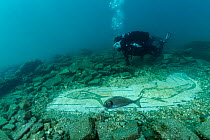 Scuba diver exploring ancient Roman mosaic from the third century AD, with maritime theme, made with black and white tessellatum tiles depicting seabed with dolphins, sea urchins, moray eels and other...