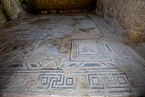 Tesselatum mosaic floor at Terme Romane, ancient Baths of Baia, vast Roman thermal and residential archaeological complex of Baia, Naples, Italy. October.