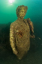 Ancient Roman statue of Antonia minor, member of Julio-Claudian dynasty, daughter of Marcus Anthony and sister of emperor Augustus, located in submerged Nymphaeum of Emperor Claudius. Marine Protected...
