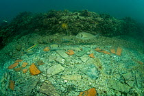 Fish swimming over pieces of marble and red brick covering floor in one of rooms located in submerged ancient Roman Nymphaeum of Emperor Claudius. Marine Protected Area of Baia, Naples, Italy. Tyrrhen...
