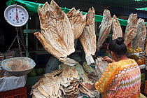 Vendor offering dried fish on street market. La Ceiba, Honduras.