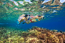 Two women snorkelling over a reef, Hawaii, Pacific Ocean. Model released.