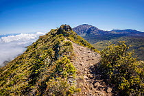 Hiker high above the clouds walking along a trail on a dormant volcano, Haleakala National Park, Maui, Hawaii. January, 2022. Model released.