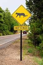 A wildlife crossing hazard road sign warning people about the presence of Cougars (Puma concolor) on the road, Grand Canyon National Park, Arizona, USA.