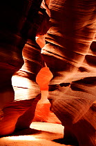 Antelope Canyon, a slot canyon formed of Navajo sandstone and shaped by water erosion, Arizona, USA.