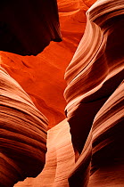Antelope Canyon, a slot canyon formed of Navajo sandstone and shaped by water erosion, Arizona, USA.