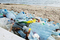 Discarded single-use plastic bottles and containers washed up on a beach.