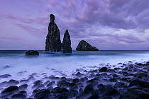 Neptune Fingers Cliffs, volcanic rock formations close to the shore, Ilheus da Rib, Madeira, Portugal. Atlantic Ocean. February, 2022.