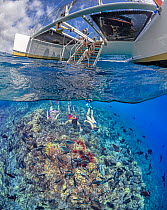Snorkelers sitting on boat preparing to enter the water whilst others swim over reef beneath the surface, Maui, Hawaii, Pacific Ocean. Model released. Composite image