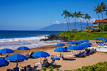 Sun umbrellas and sunbathers on Polo Beach lined by palm trees, Wailea, South Maui, Hawaii, Pacific Ocean. January.