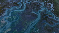 Aerial shot of meandering channels in the Ria de Santona estuary at low tide, Noja and Joyel Natural Park, Cantabria, Spain, March.