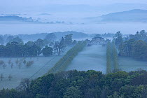 Early morning mist at dawn over Ferne Park and Cranborne Chase at dawn, Dorset, UK. May.