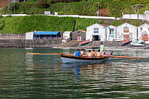 Team of rowers training for regatta in handcrafted and colorful wooden boat, traditionally used for whaling. Pico island, Azores, Atlantic Ocean.