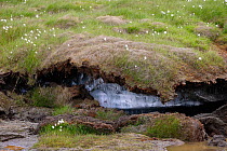 Permafrost melting under the soil due to high summer temperatures, Adventdalen valley near Longyearbyen, Svalbard Islands, Norway. 20th July 2022.