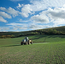 Tractor and trailed sprayer spraying seeding Wheat (Triticum sp.) crop in autumn, Berkshire, UK. October.