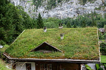 An 'eco' house roof, covered in grass, Switzerland. June.