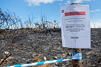 Keep out sign barrier tape deployed by the National Trust warning of unexploded WW2 ordnance after some was found after a 5 hectare patch of heathland was badly burnt by a major fire after a long, hot...