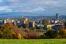 View of Ludlow Castle, a partially ruined Medieval fortication, in autumn from Whitcliffe Common, Ludlow, Shropshire, England, UK. November, 2021.