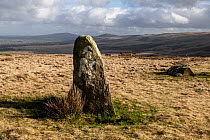 Waun Mawn built c. 3400-3200 BC, featuring one of 4 remaining Neolithic standing stones belonging to the lost stone circle which was moved and reassembled at Stonehenge,  Preseli Hills, Pembrokeshire,...