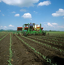 Prototype machine for Maize / Corn (Zea mays) single pass, interrow cultivation, spraying and fertilizing crop, Switzerland. May.
