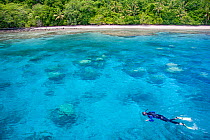 Snorkeler swimming over coral heads close to the shore off Kandavu Island, Fiji, Pacific Ocean. Model released.