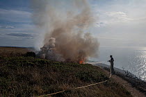 Fireman spraying water on a Gorse (Ulex sp.) fire burning on cliff top caused by discarded BBQ coals in extremely hot, dry summer, Glebe Cliff, Tintagel, Cornwall, UK. August, 2022.