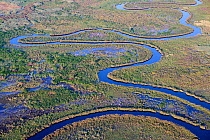Aerial view of the Okavango Delta with meandering channels, lagoons, swamps and islands, Botswana, Africa.