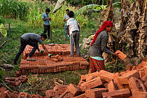 Group of local people sorting bricks that have been delivered to build a new house. Many houses in Bardia are made of mud but it is more coveted, expensive and safe, to have a home built  of bricks, B...