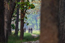 Three soldiers from the Nepalese Army patrolling Bardia National Park on bicycles, Bardia National Park, Terai, Nepal.
