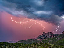 Monsoon rain and lightning over Table Mountain, Santa Catalina Mountains, Arizona. Digital stack of two frames taken using lightning trigger.