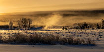 Mist rises from the Snake River on a cold January morning in Grand Teton National Park, Wyoming, USA.
