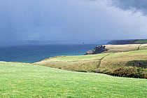 Rolling coastal pastureland and cliffs looking northeast towards Gull Rock and Tintagel Head with heavy rain out to sea, near Port Isaac, Cornwall, UK. September, 2021.