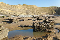 Eroded limestone pavement and layered cliffs of limestone and mudstone rock above Southerndown Beach, Dunraven Bay, Glamorgan, South Wales, UK. October, 2021.