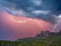 Monsoon rains and lightning over Table Mountain in the Santa Catalina Mountains, a Sonoran Desert 'Sky Island' mountain range, Arizona, USA. August, 2022. Two images stacked made in rapid s...