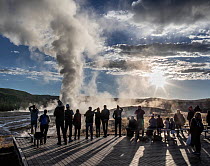 Crowd of twenty people watching the eruption of Old Faithful Geyser, Yellowstone National Park, Wyoming, USA. September, 2022.