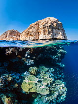 Coral reef below the cliffs of Shark Observatory, Ras Mohammed National Park, Sinai, Egypt, Red Sea.