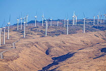 Wind turbines across the hillside, part of the largest wind farm in the state, operational since 2006, West Maui Mountains, Hawaii.