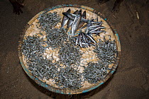 Lake Malawi sardines (Engraulicypris sardella) and other assorted cichlid species for sale at market stall.  Lake Malawi, Malawi.