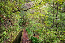 Levada in Folhadal. A levada is an irrigation channel or aqueduct specific to the Portuguese Atlantic region of Madeira. In Madeira, the levadas originated out of the necessity of bringing large amoun...