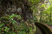 Levada, irrigation channel or aqueduct specific to Madeira, built to bring large amounts of water from the wetter west and northwest of the  island to the drier southeast, which is more conducive to h...