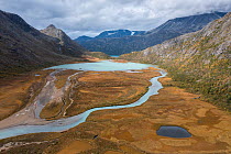Aerial photograph of Leirungsae river delta and Downy birch (Betula pubescens) forest in early autumn.  Jotunheimen National Park, Norway. September.  non-ex.