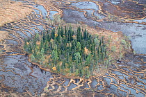 Aerial photograph of string bogs consisting of water-filled hollows separated by narrow ridges with areas of small elevation covered in mixed forests of Scots pine (Pinus sylvestris), Siberian spruce...