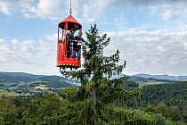 Researchers hovering high above Europe's most biodiverse forest laboratory, investigating how trees are coping with climate change and increasing aridity, to help foresters promote drought-resistant s...