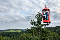 Researchers hovering high above Europe's most biodiverse forest laboratory, investigating how trees are coping with climate change and increasing aridity, to help foresters promote drought-resistant s...